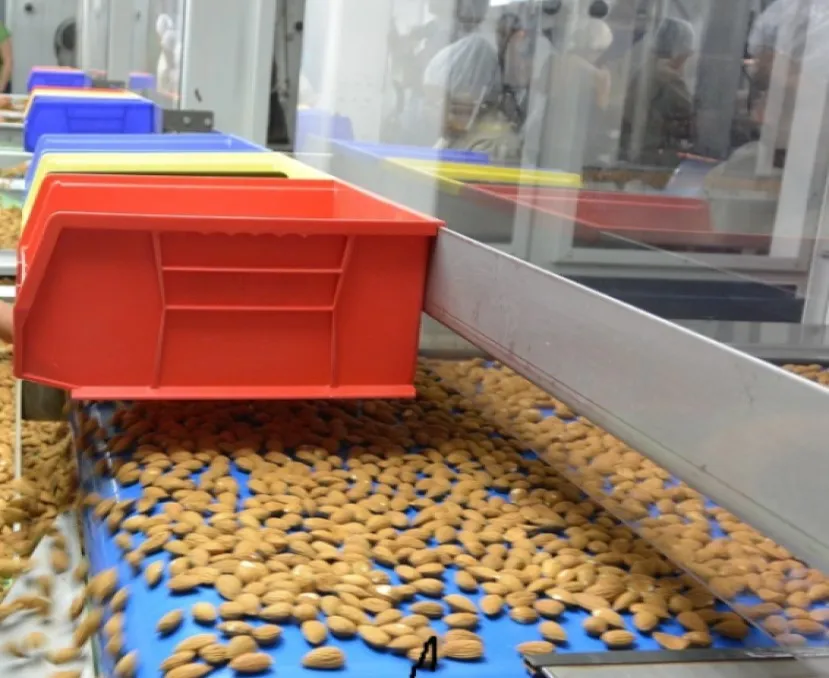 High Quality Raw Almond with Competitive Price