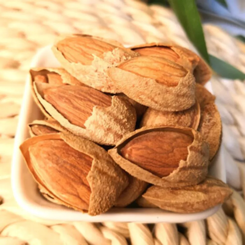 High Quality Raw Almond with Competitive Price