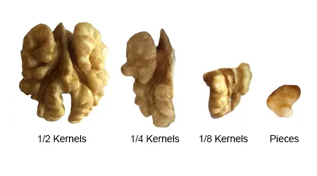 High Quality Walnuts Kernels 2021 Crop Year