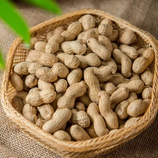 High Quality Washed Peanut in Shell