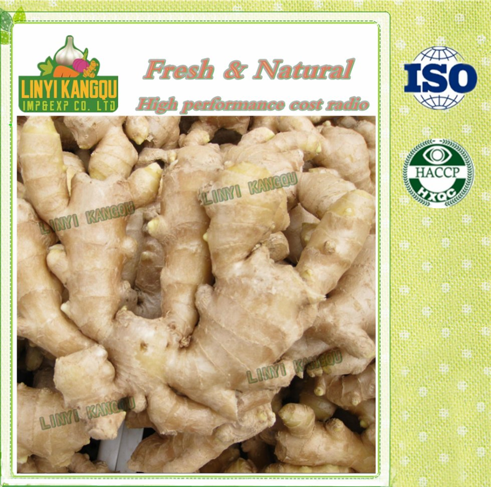 Hot Sale New Crop Organic Fresh Air Dried Ginger