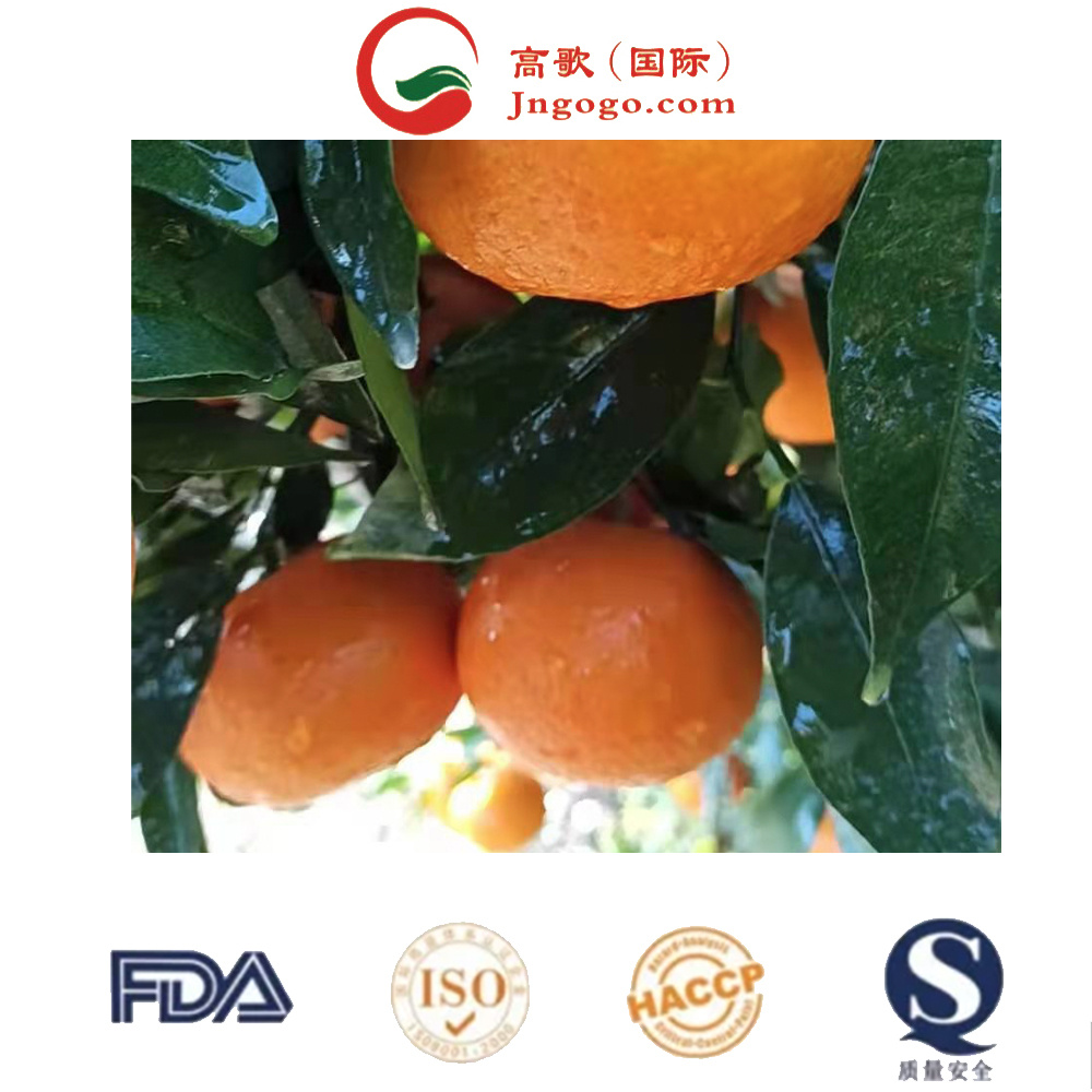 Hot Sale Tangerine Yellow Original OEM Cup Sweet Style Packing Plastic Color Material Raw Origin Type Shape Grade