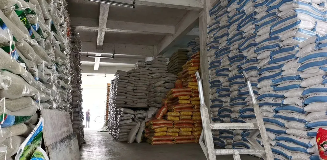 ISO Certified 100% Natural Mung Bean
