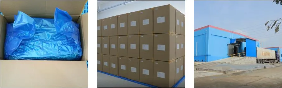 ISO22000 Management OEM Factory Freeze Dried Food Freeze Dried Dice Strawberry HACCP Control