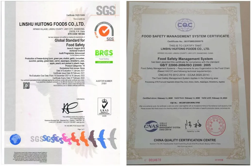 ISO22000 Management OEM Factory Freeze Dried Food Freeze Dried Dice Strawberry HACCP Control