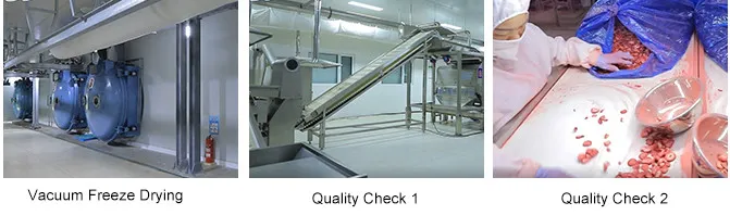 ISO22000 Management OEM Factory Freeze Dried Food Freeze Dried Dice Strawberry HACCP Control