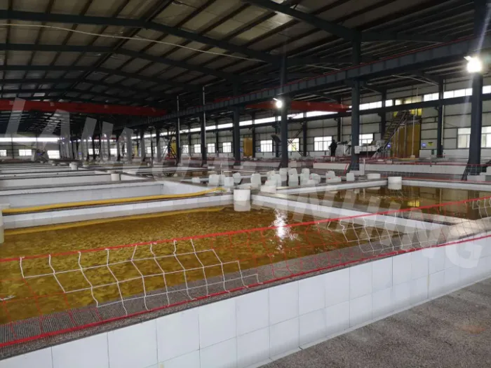 Japanese Shredded Pink White Ginger