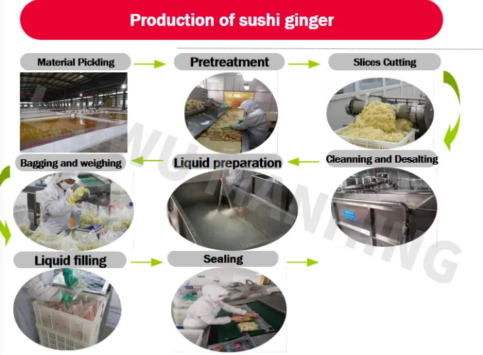 Japanese Sushi Ginger Pickled Slices FDA