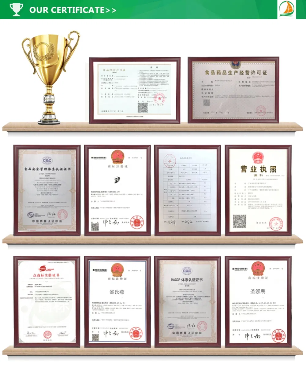 Jiuzhitang Cordyceps Sinensis Dong Chong Xia Cao Herbal Medicines Aweto