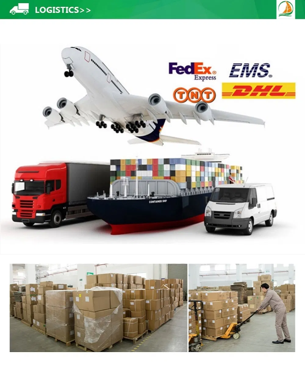 Jiuzhitang Cordyceps Sinensis Dong Chong Xia Cao Herbal Medicines Aweto