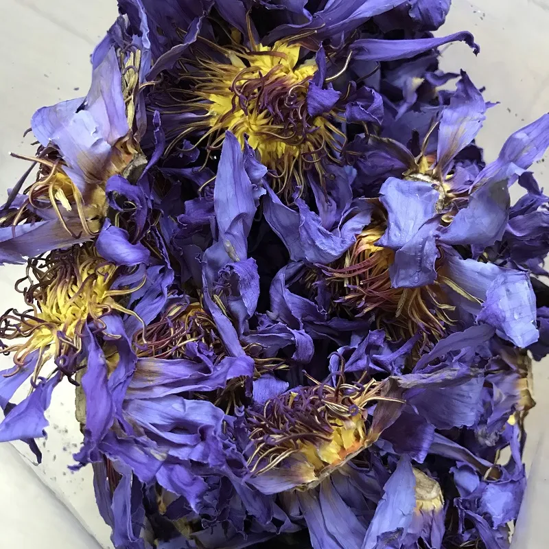LAN Lian Hua Dry Flower Tea Nymphaea Caerulea Blue Lotus Petals with Stamens