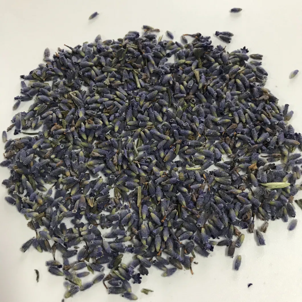 LAN Lian Hua Wholesale High Quality Flower Tea Herbal Dried Blue Lotus