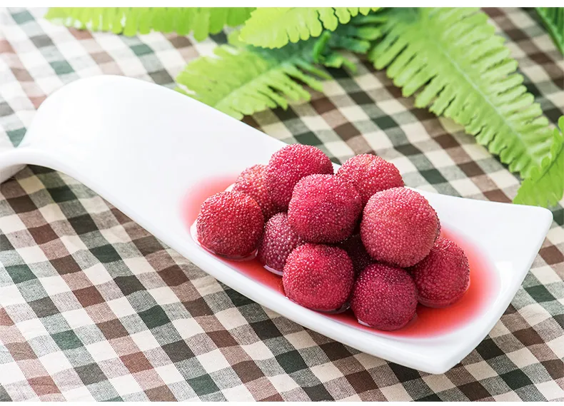 Leisure Snacks Fruits Canned Red Bayberry Waxberry Arbutus in Syrup for Party