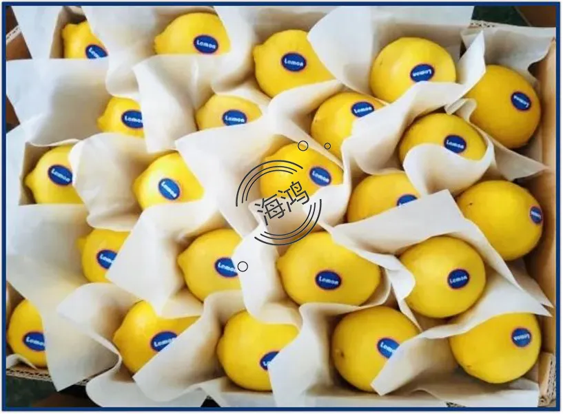 Lemon Fresh Fruit Citrus Yellow Lemon