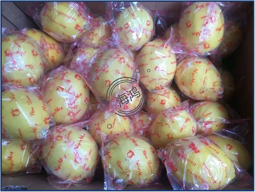 Lemon Fresh Fruit Citrus Yellow Lemon
