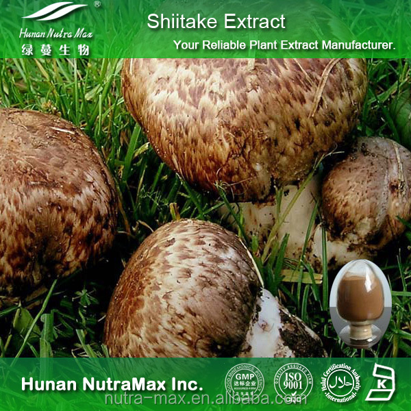 Lentinula Edodes Extract Shiitake Mushroom with Polysaccharides 10%-50%