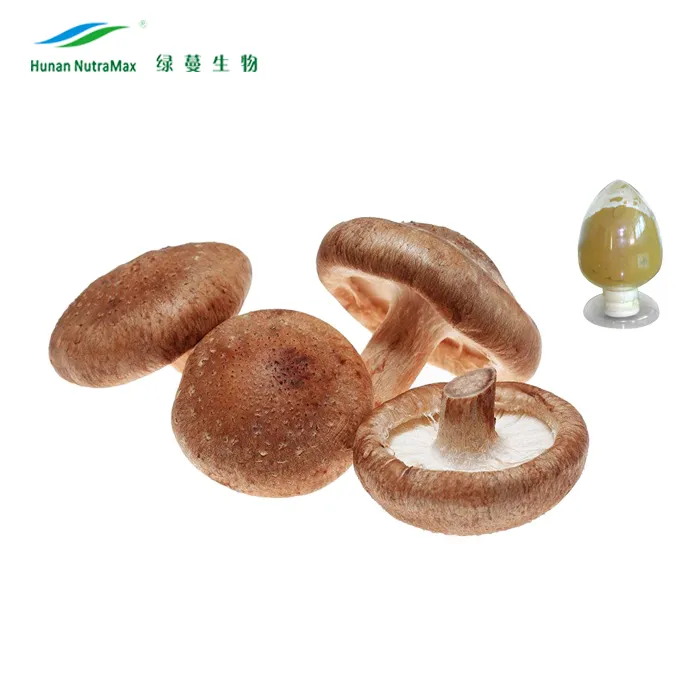 Lentinula Edodes Extract Shiitake Mushroom with Polysaccharides 10%-50%