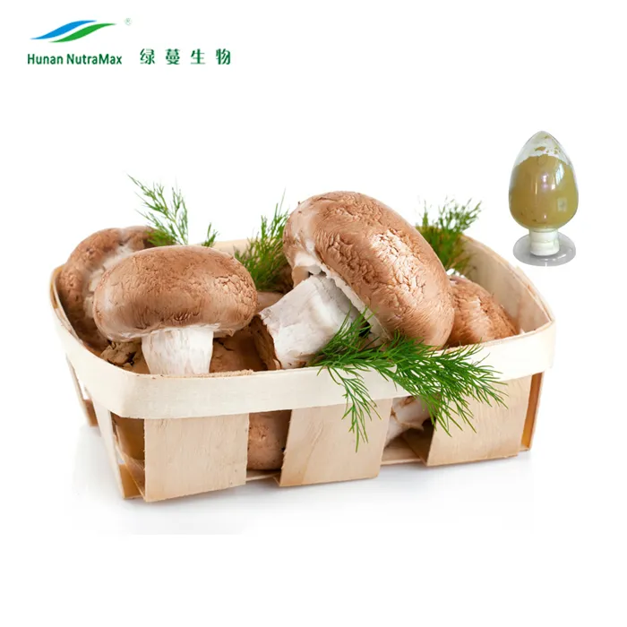 Lentinula Edodes Extract Shiitake Mushroom with Polysaccharides 10%-50%