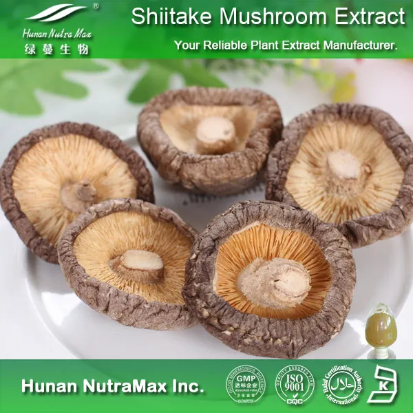 Lentinula Edodes Extract Shiitake Mushroom with Polysaccharides 10%-50%