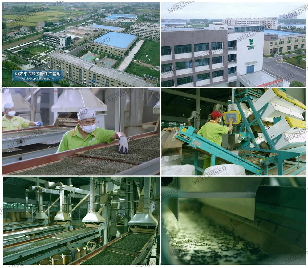 Longan Jujube Wolfberry Chinese Flavor Fruit Tea