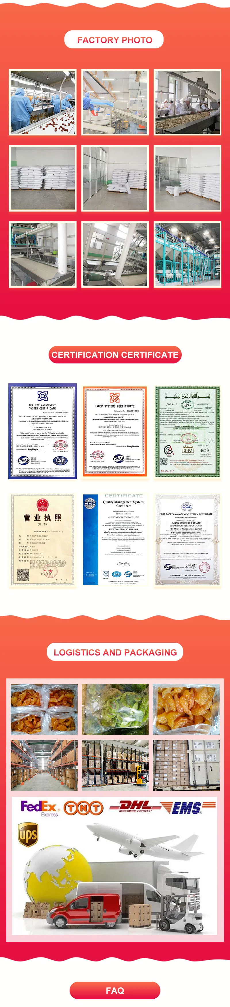 Made in China High Quality Walnuts Sweet Snack Dried Fruit Dried Nuts Fruit