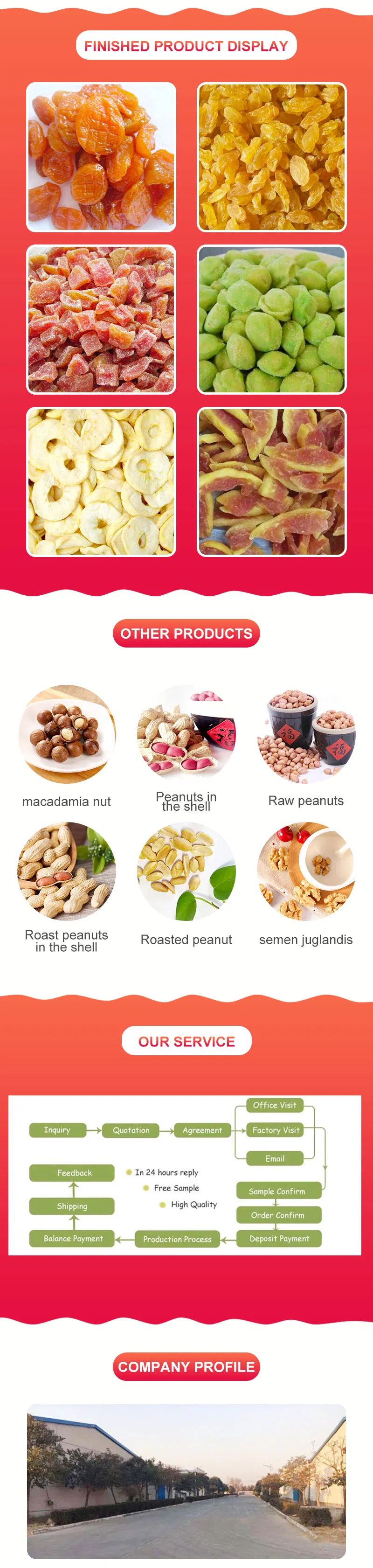 Made in China High Quality Walnuts Sweet Snack Dried Fruit Dried Nuts Fruit