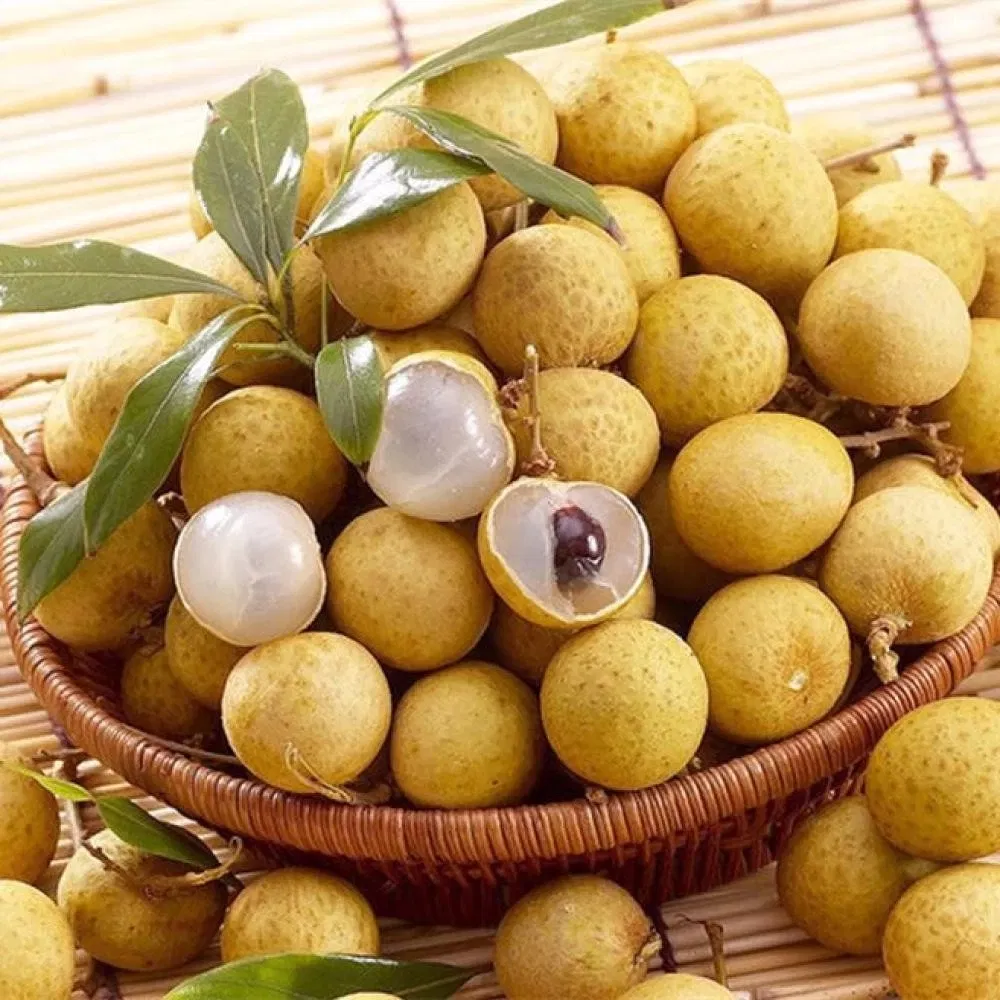 Manufacture of Canned Longan Fresh Fruit Food in Syrup with Cheap Price
