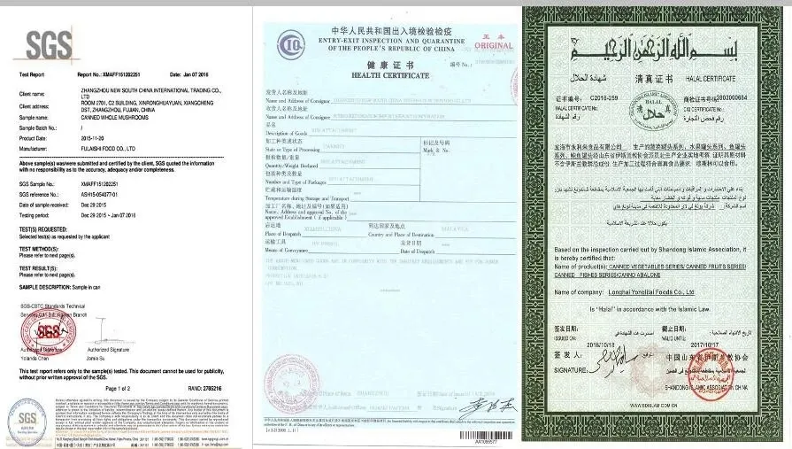 Manufacture of Canned Longan Fresh Fruit Food in Syrup with Cheap Price