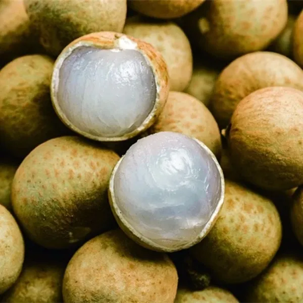 Manufacture of Canned Longan Fresh Fruit Food in Syrup with Cheap Price