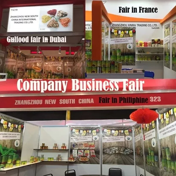 Manufacture of Canned Longan Fresh Fruit Food in Syrup with Cheap Price