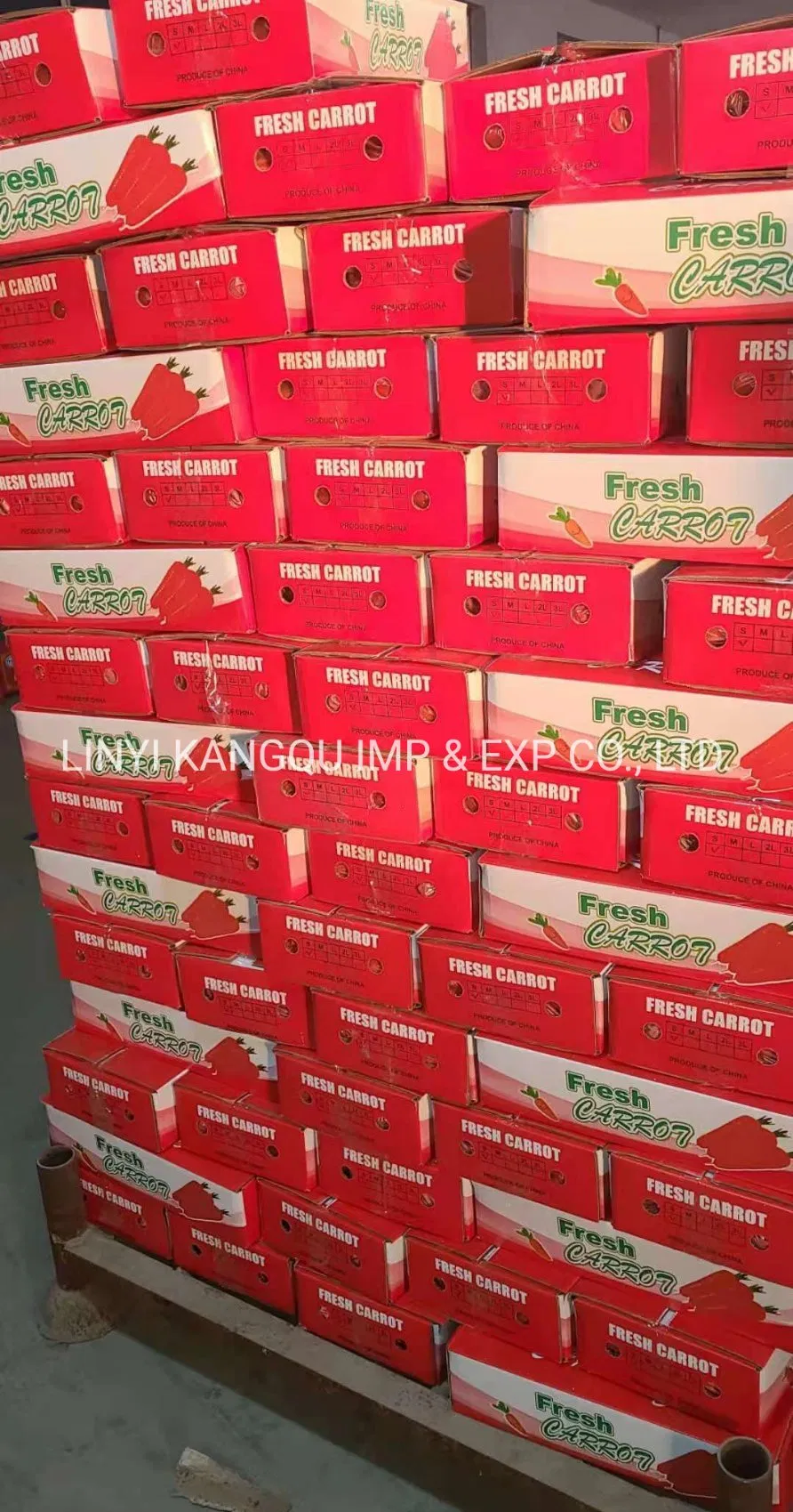 Manufacturer Directly Supply High quality Organic Fresh Carrot with New Crop