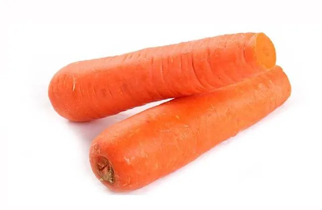 Manufacturer Directly Supply High quality Organic Fresh Carrot with New Crop