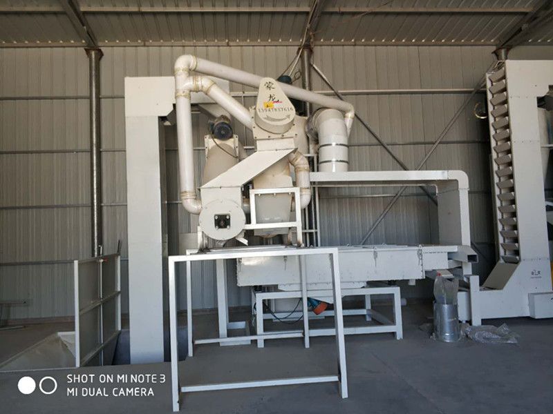 361 Sunflower Seed From Inner Mongolia China