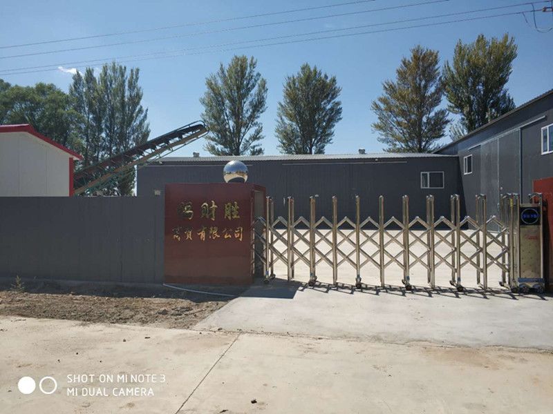 361 Sunflower Seed From Inner Mongolia China