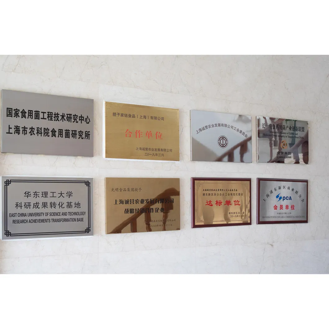 Mushroom Spawn Substrate Natural Food