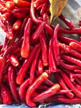 Natural Air Dried 100% Pure Dry Red Chili in China/Delicious Chilli