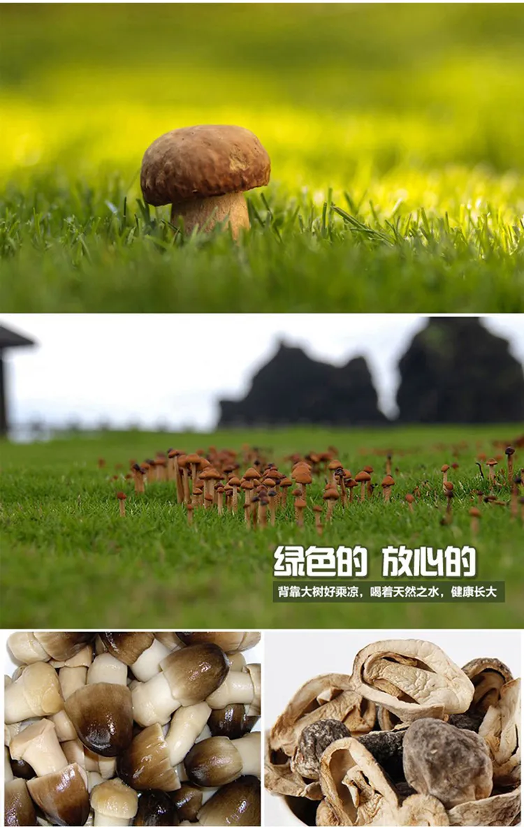 Natural Material Dried Strawmushroom