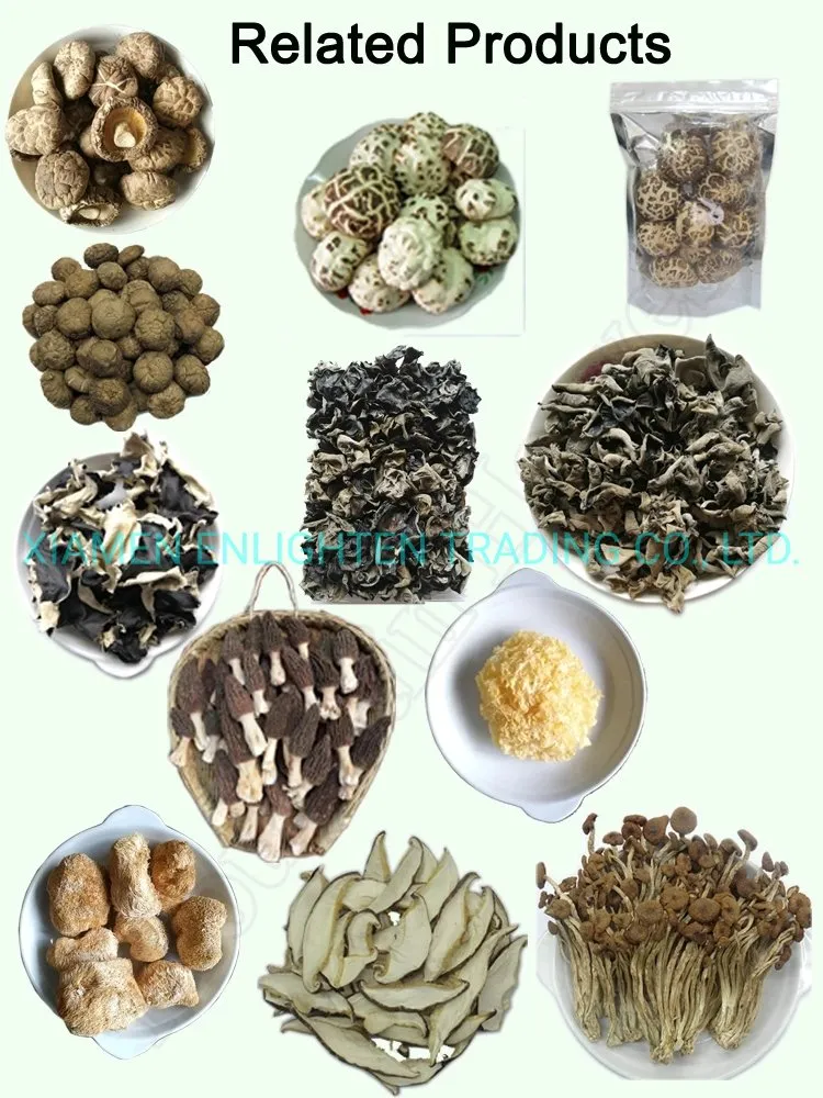 Natural Material Dried Strawmushroom