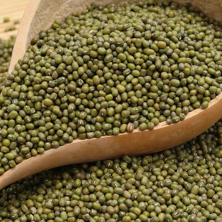 Natural Mung Bean Extract 10: 1 Mung Bean