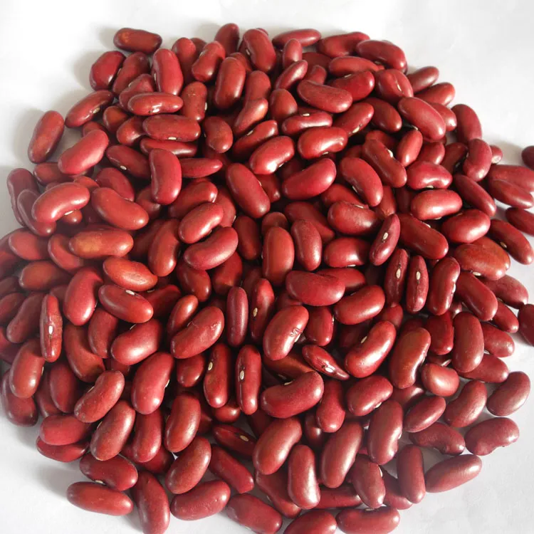 New Britain Red Kidney Beans in 2020, 180-200PCS/100g