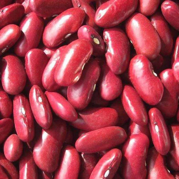 New Britain Red Kidney Beans in 2020, 180-200PCS/100g