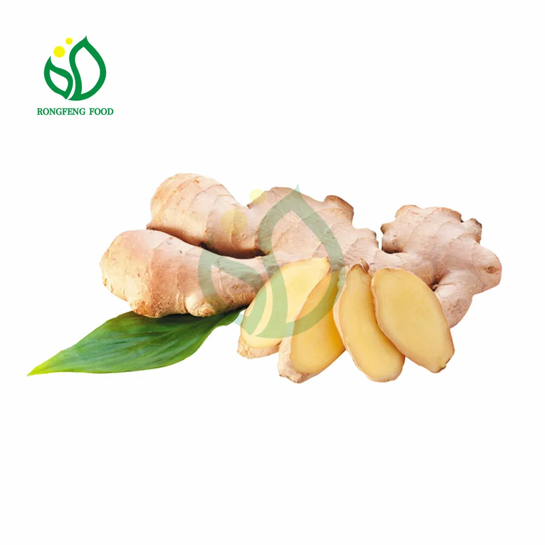 New Crop 50g/100g/150g/200g/250g/300g and up Fresh Ginger Air Dried Ginger From China 20mesh Bag for Pakistan Market