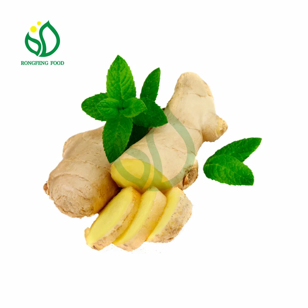 New Crop 50g/100g/150g/200g/250g/300g and up Fresh Ginger Air Dried Ginger From China 20mesh Bag for Pakistan Market