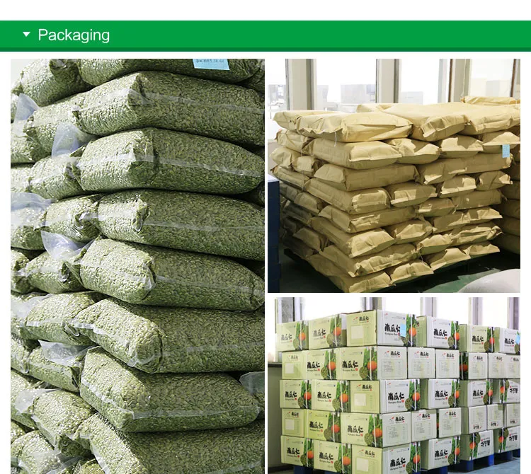 New Crop China Pumpkin Kernels Gws AA