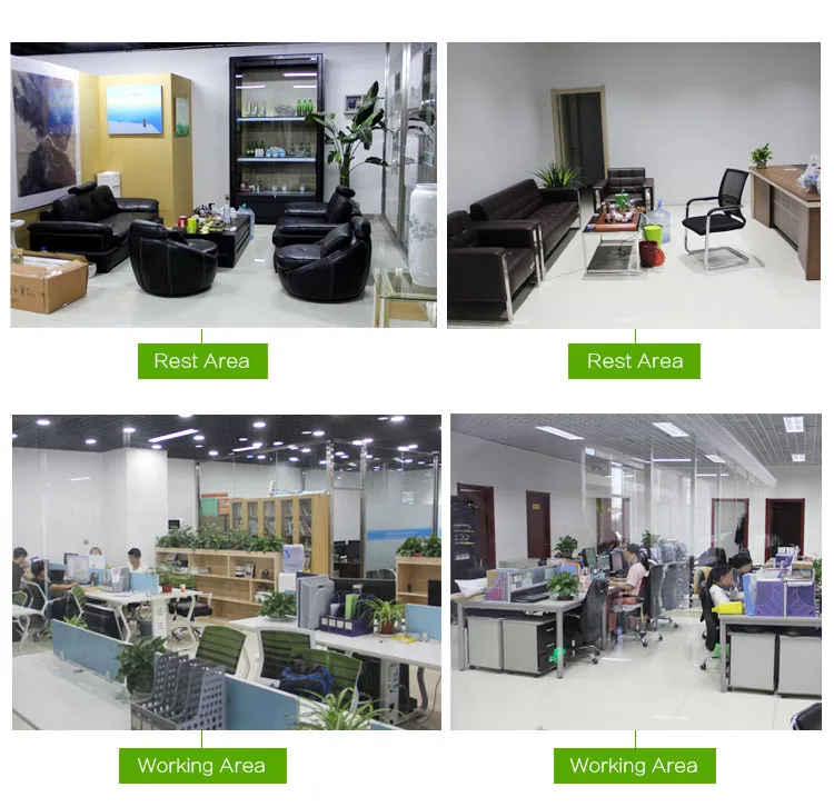 New Crop China Pumpkin Kernels Gws AA