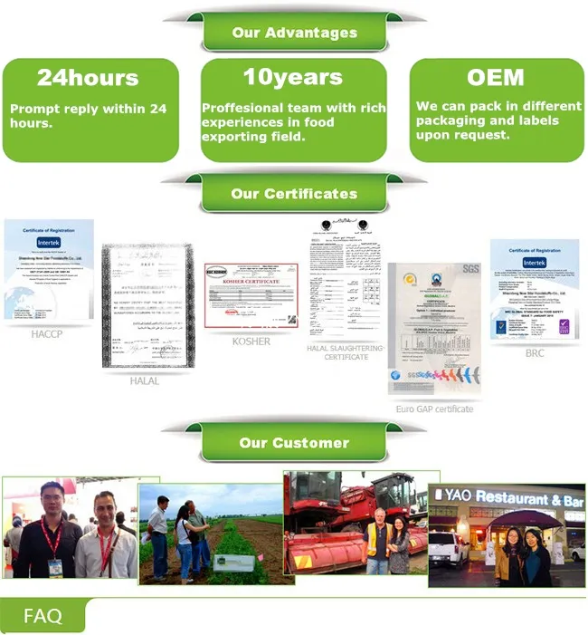 New Crop Chinese Fat Fresh Ginger Air Dry Ginger Super Big Ginger 250g up