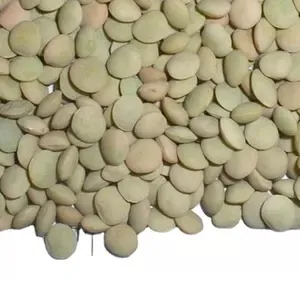 New Crop Dried Red Lentils with Competitive Price