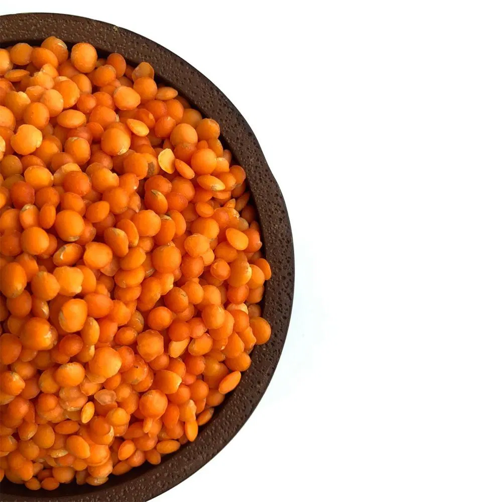New Crop Dried Red Lentils with Competitive Price