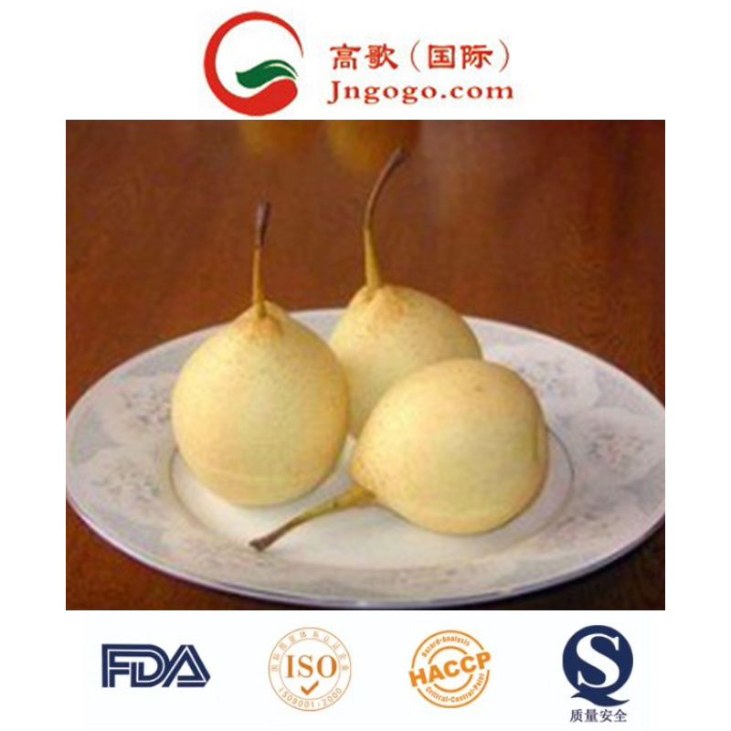 New Crop Export Good Quality Chinese Fengshui Pear