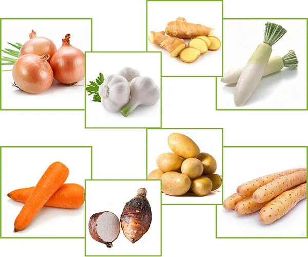New Crop for Sale Fresh Potato